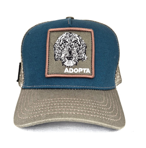 BearBeard Adopta